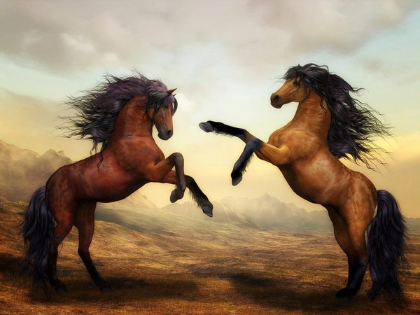 Quel est le nom de la personne qui monte à cheval ?